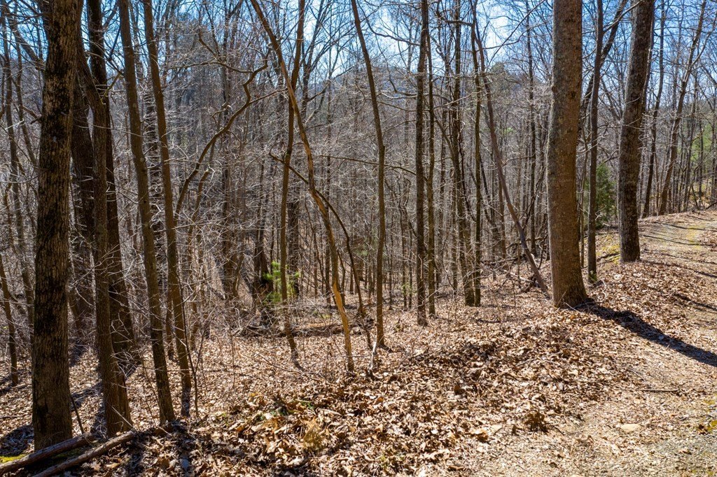 Picture 13