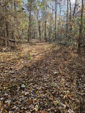 Burlison, TN Land Opportunity