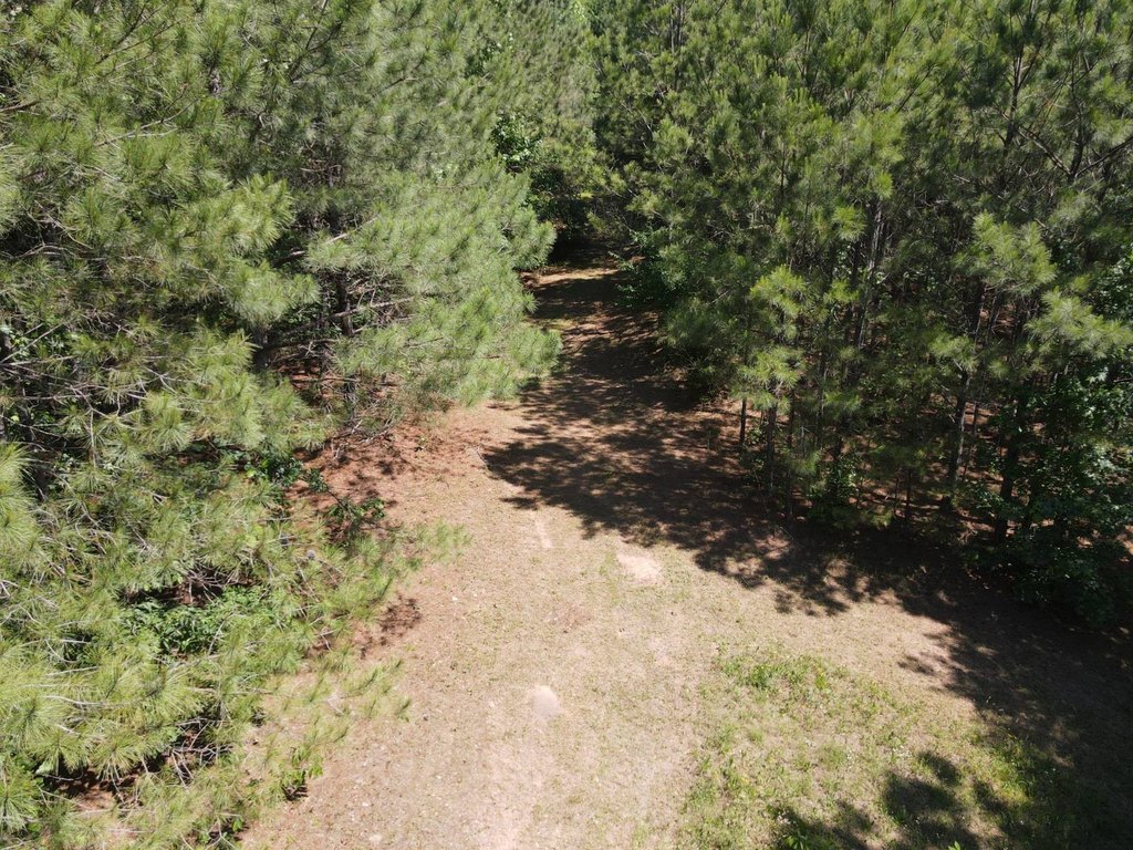 Picture 8
