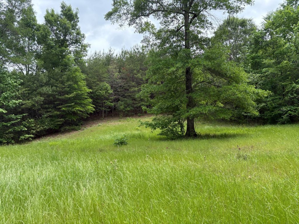 Picture 25