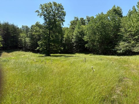 Land, Calera, AL