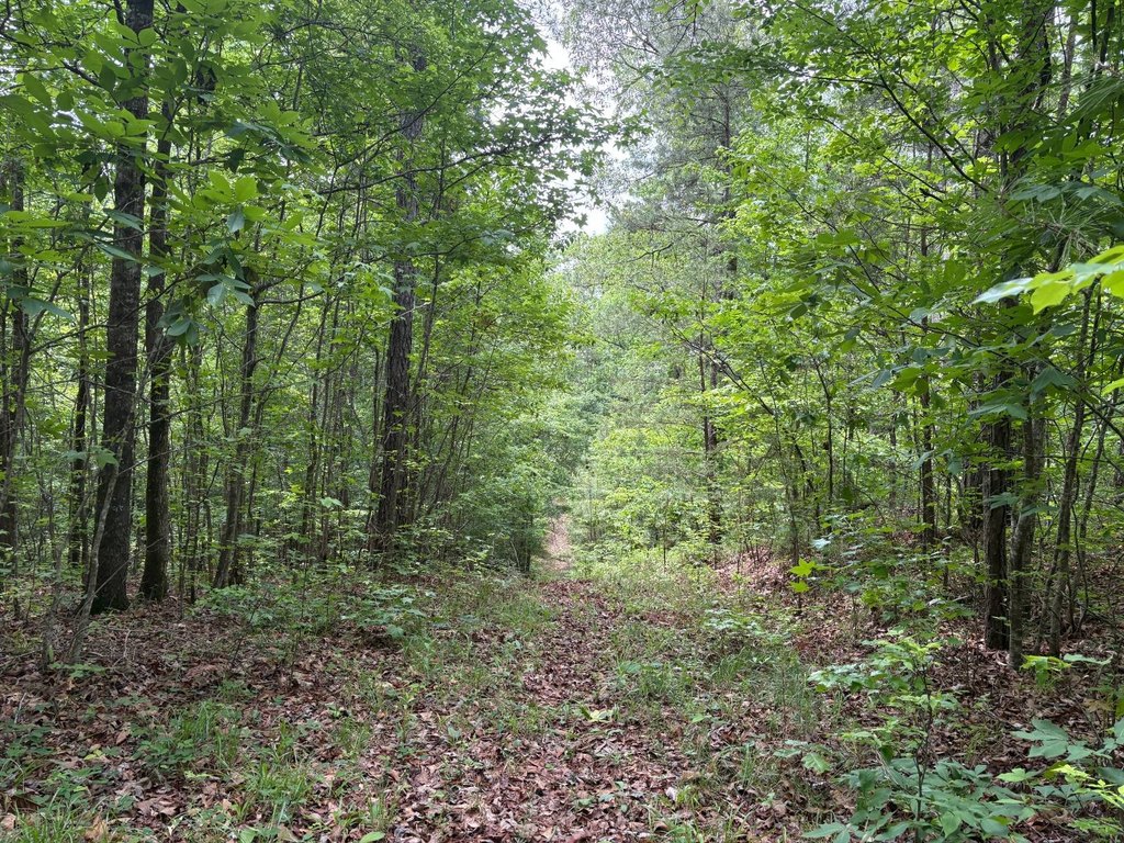 Picture 24