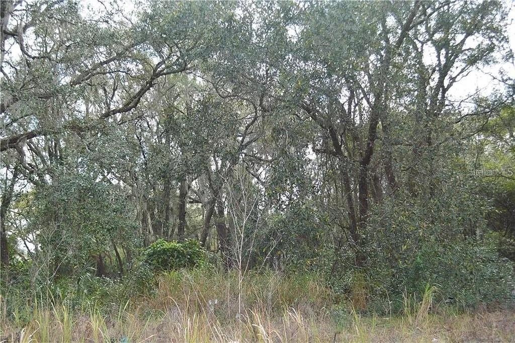 Picture 5