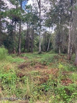 Land, Bunnell, FL
