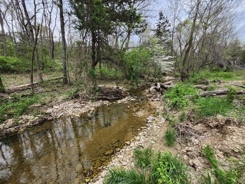Land, Mountain Grove, MO