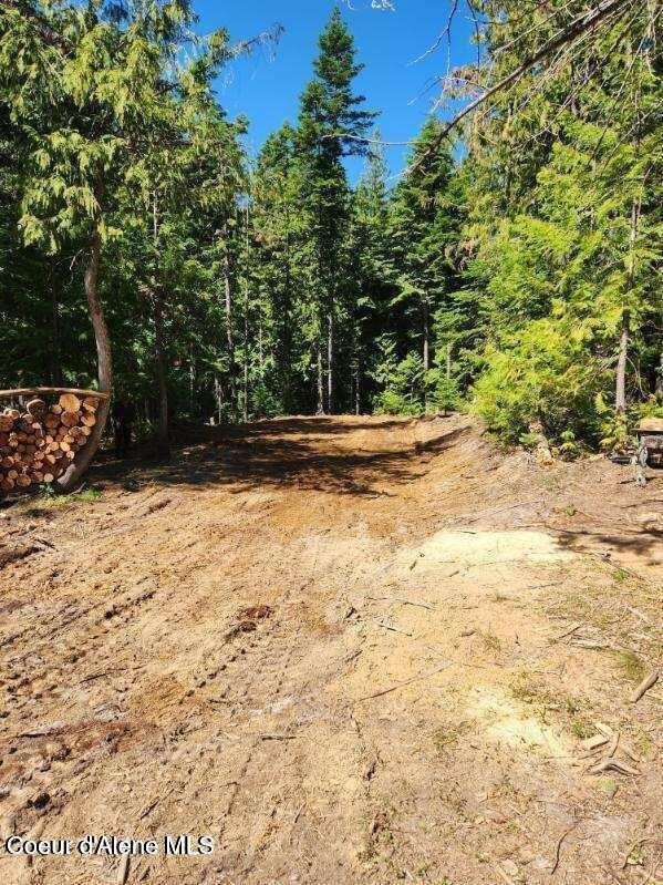 Secluded Acreage in St. Maries