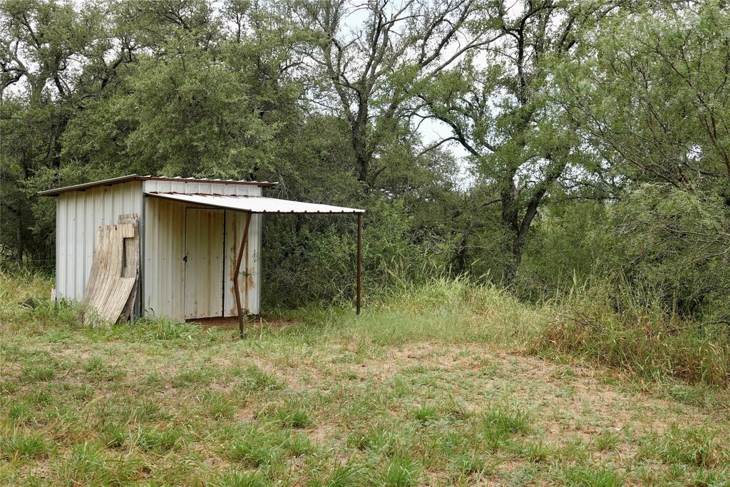 Picture 17