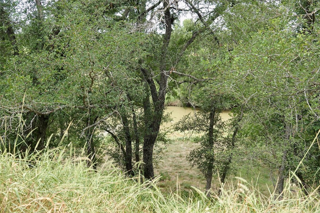Picture 8