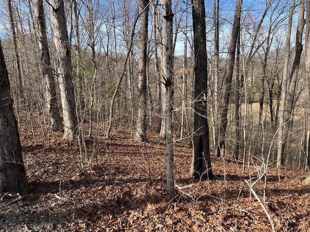 Hayesville NC Wooded Lot