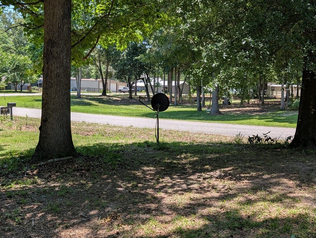 Picture 21