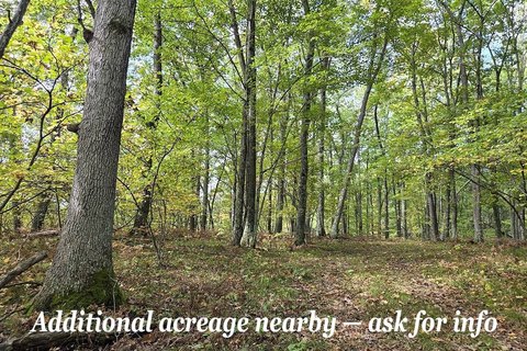 Pembine, WI Vacant Land