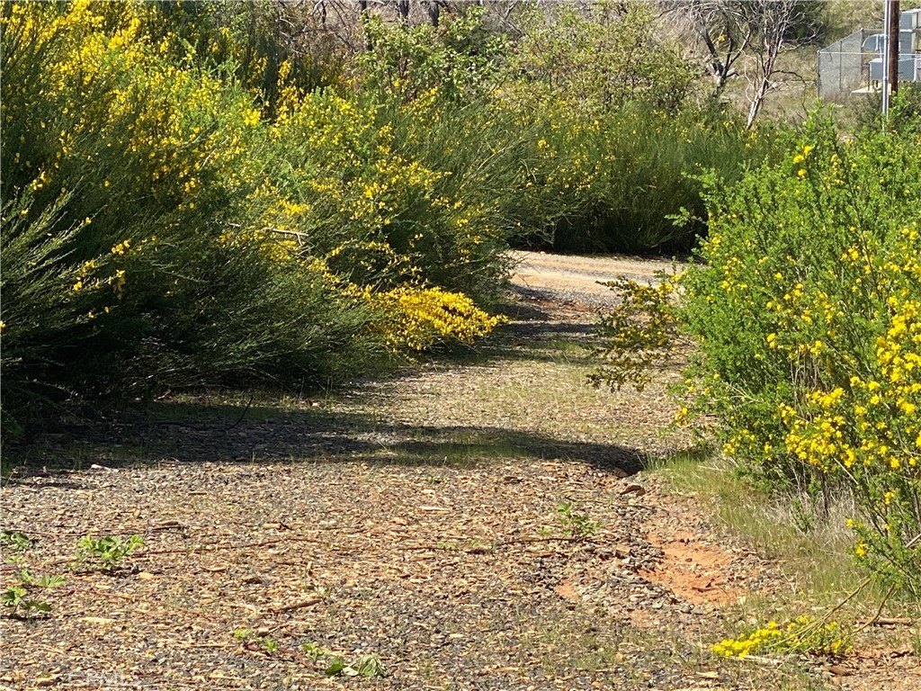 Picture 24