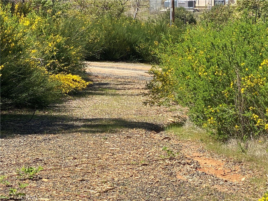 Picture 23