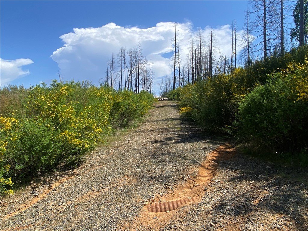 Picture 25