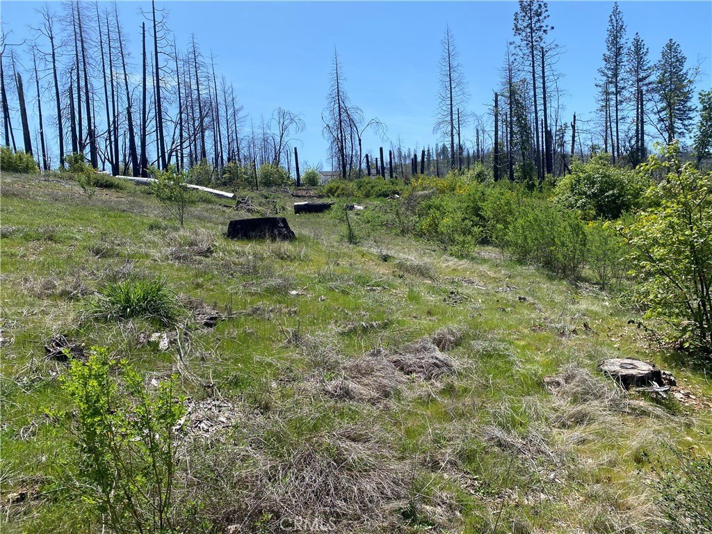 Picture 20