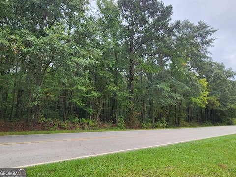 Land, Sparta, GA