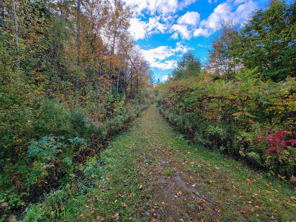 Picture 21