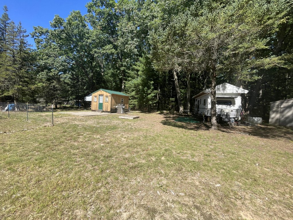 Picture 5