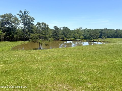116 Acres of Pastureland