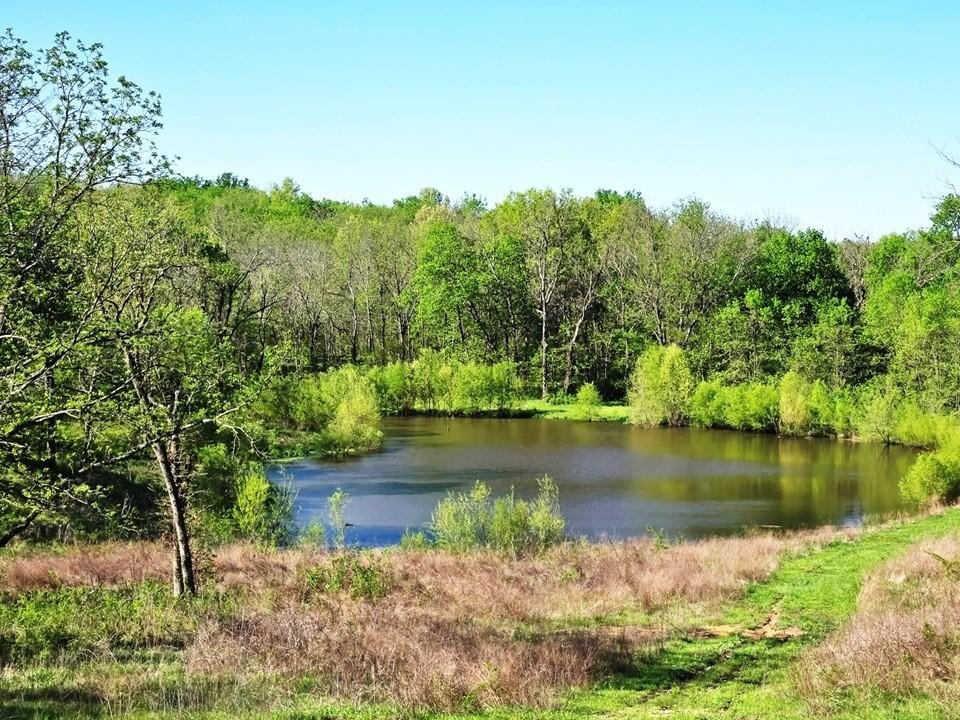 Chilhowee Land with Pond