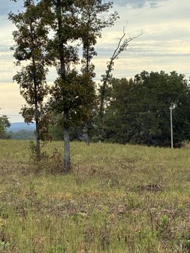 Land, Ava, MO