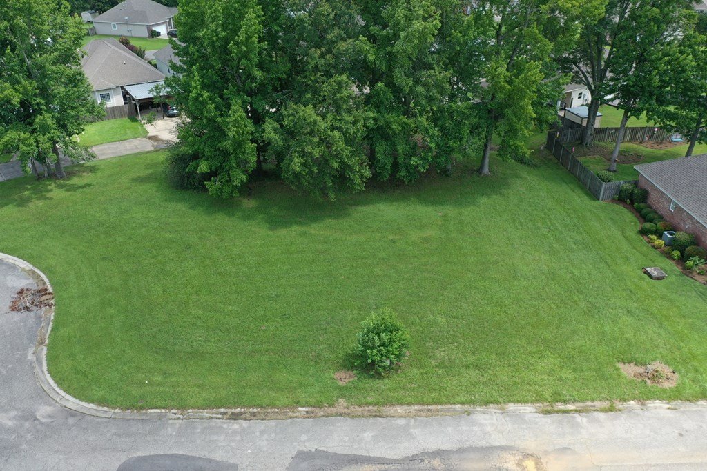 Picture 4