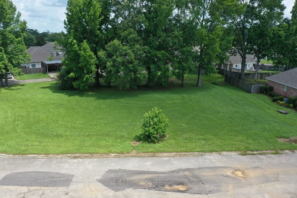 Picture 3