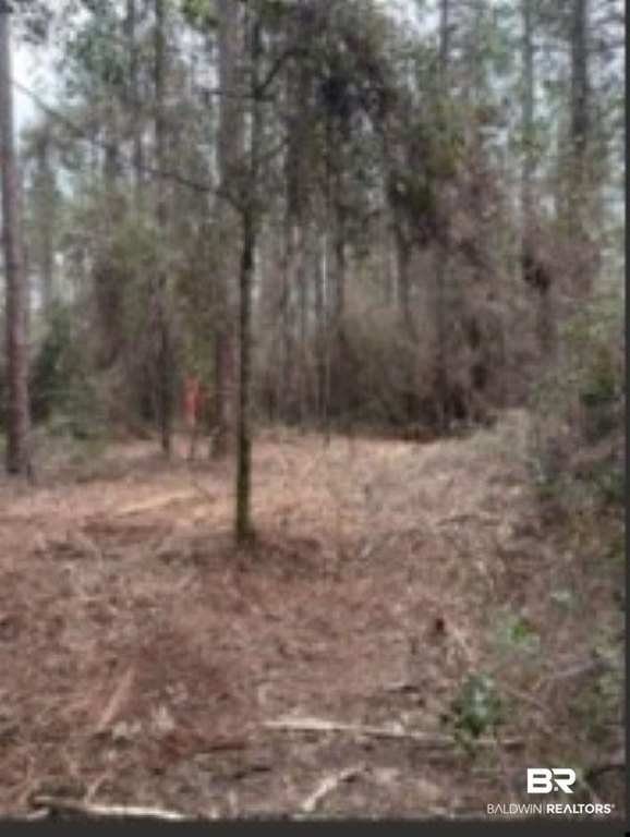 Picture 7