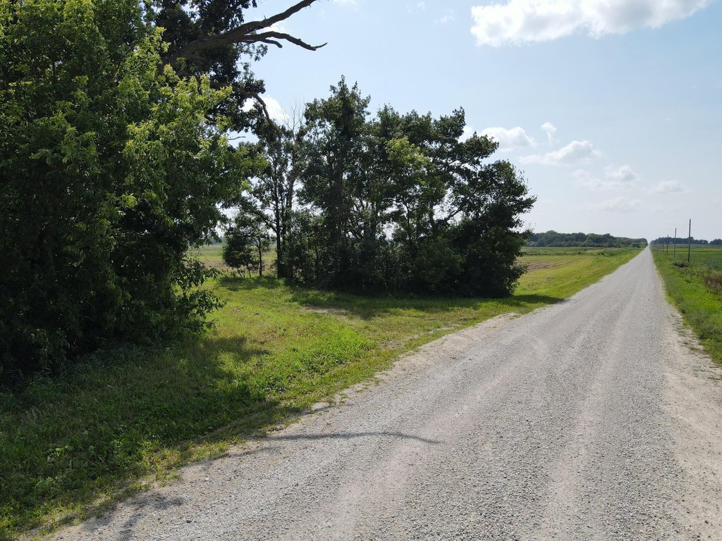 Picture 20