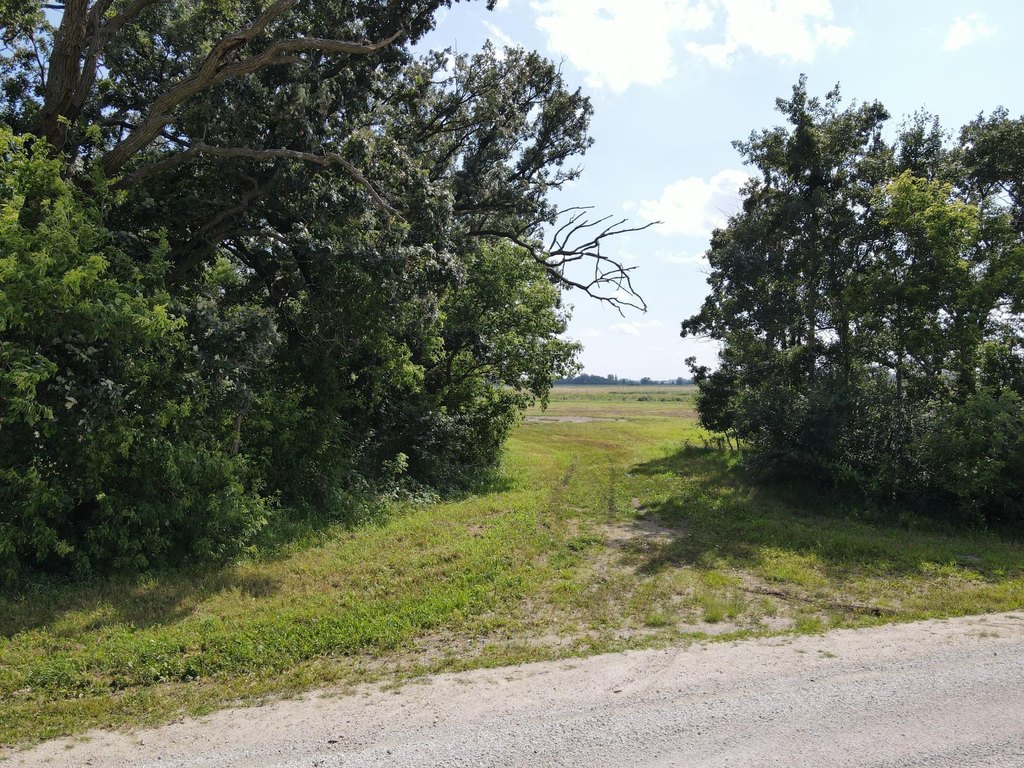 Picture 24