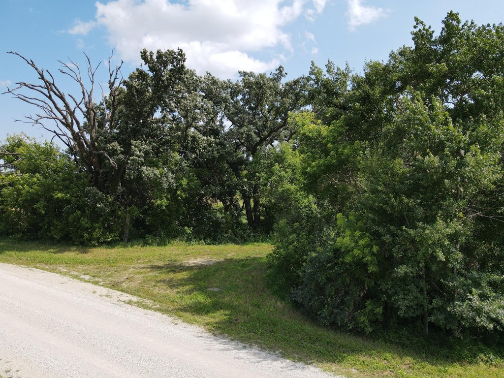Picture 25