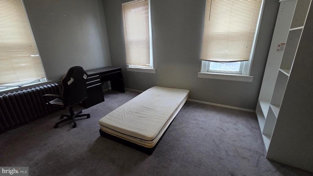 Picture 17