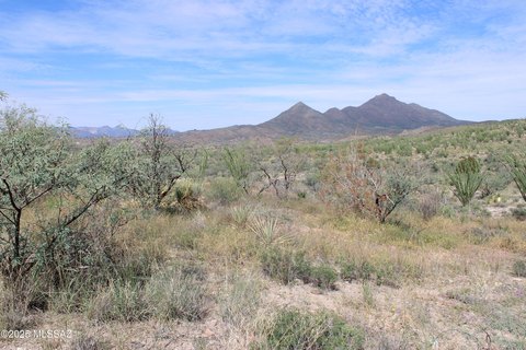 Rio Rico Corner Lot