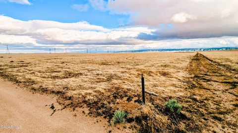 Flat Agricultural Land