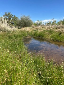 Unrestricted Hill Country Acreage