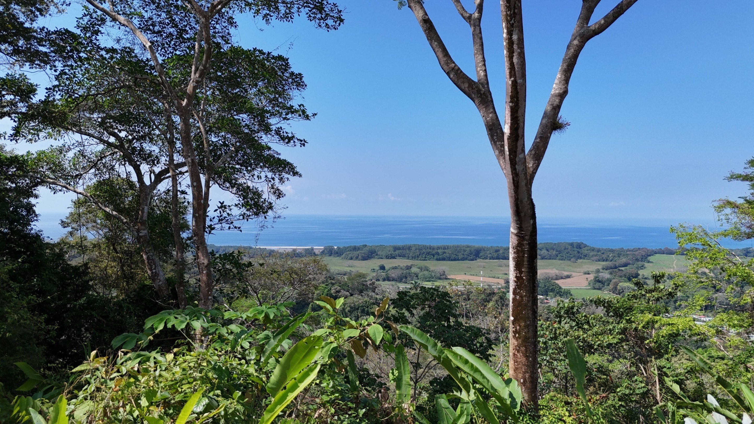 Dominical Ocean View Development Property