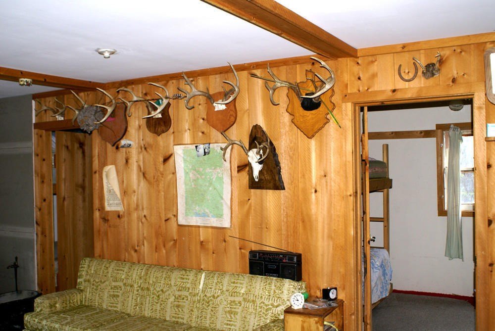 Picture 7