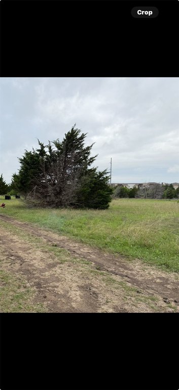 Picture 3