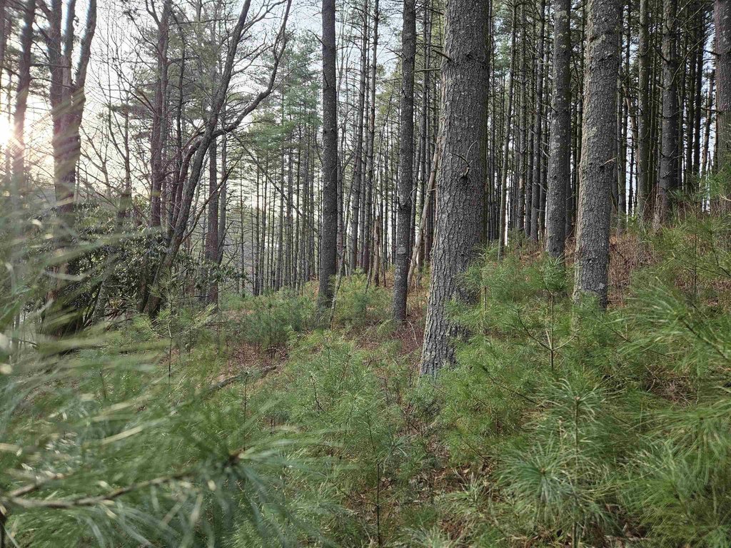 Picture 15
