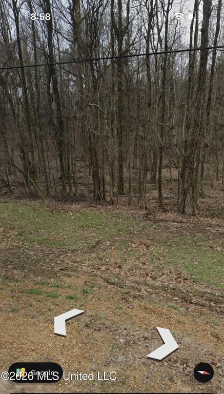 Picture 11