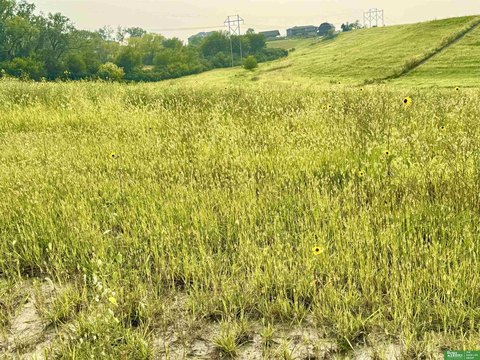 Acreage Lot in Gretna, Nebraska