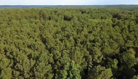 LAND - Ozark, AL