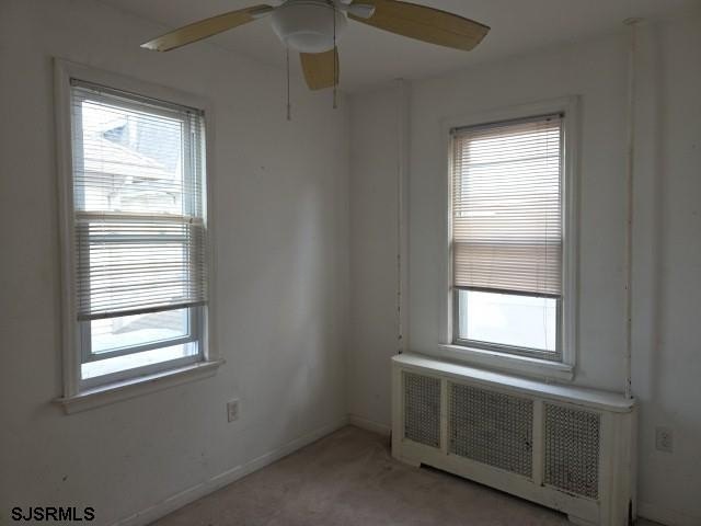 Picture 8