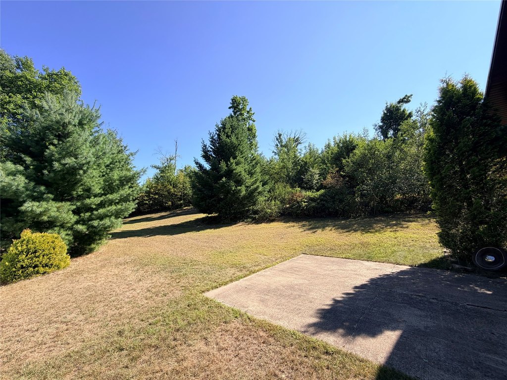 Picture 25