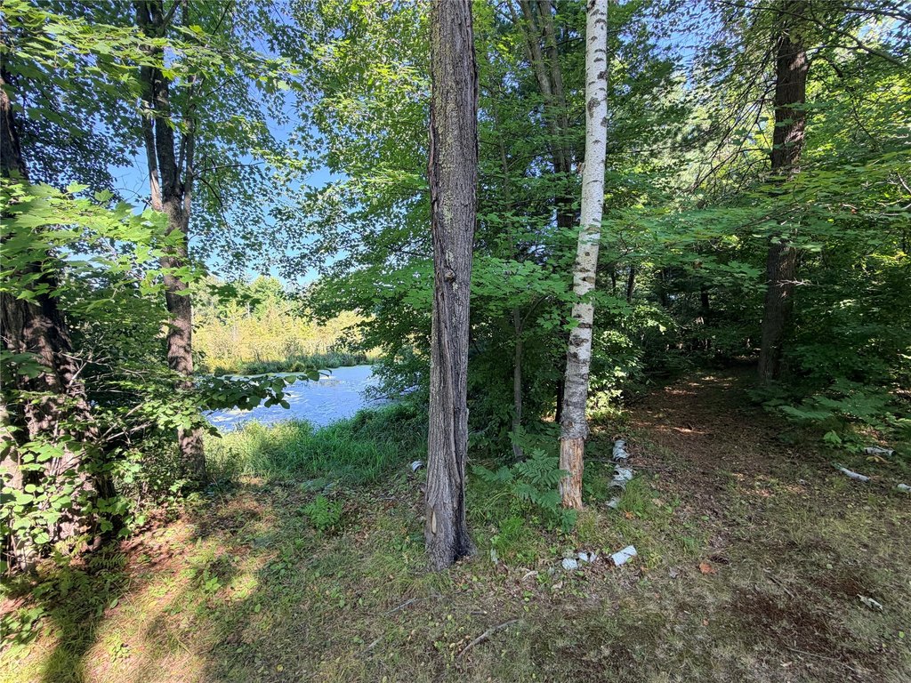 Picture 28