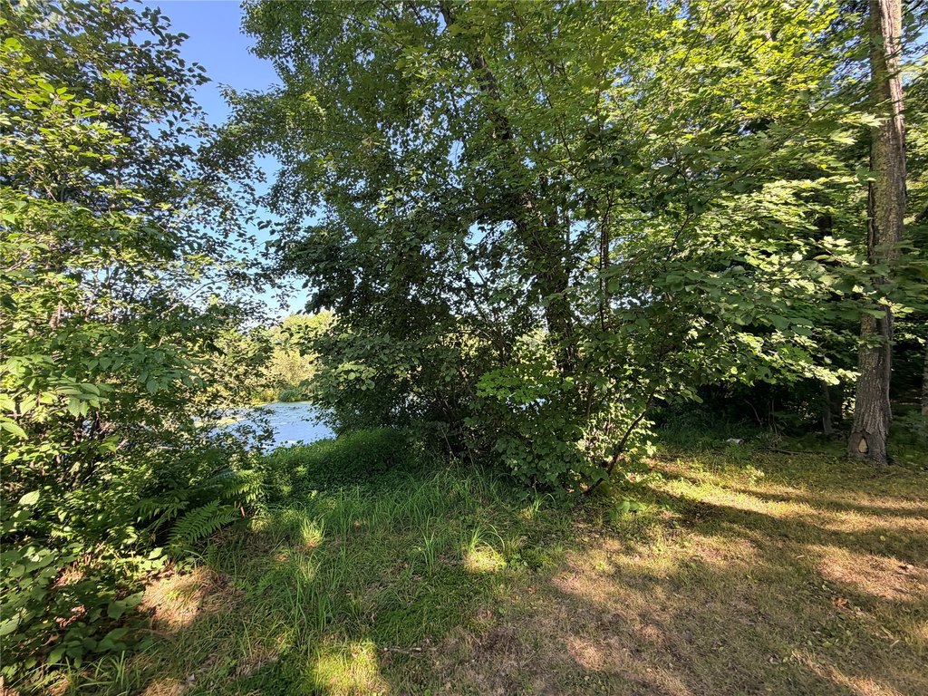 Picture 27
