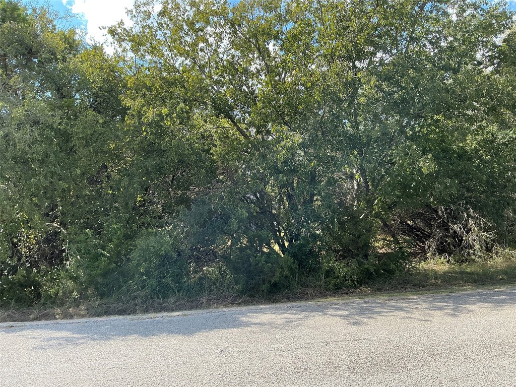 Picture 15