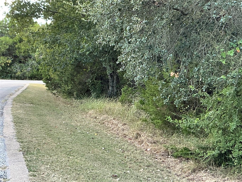Picture 25