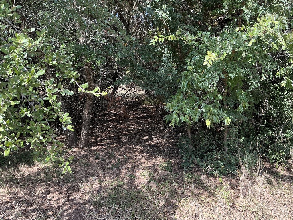 Picture 12