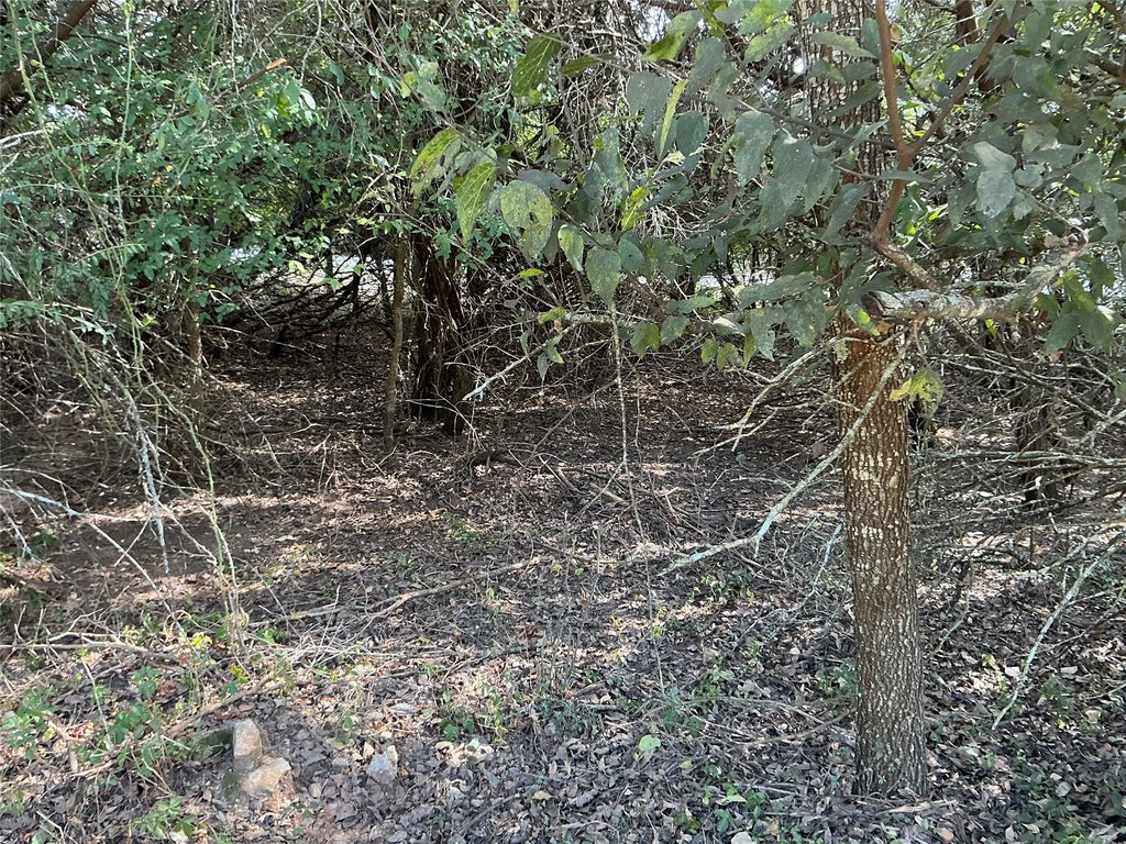 Picture 21